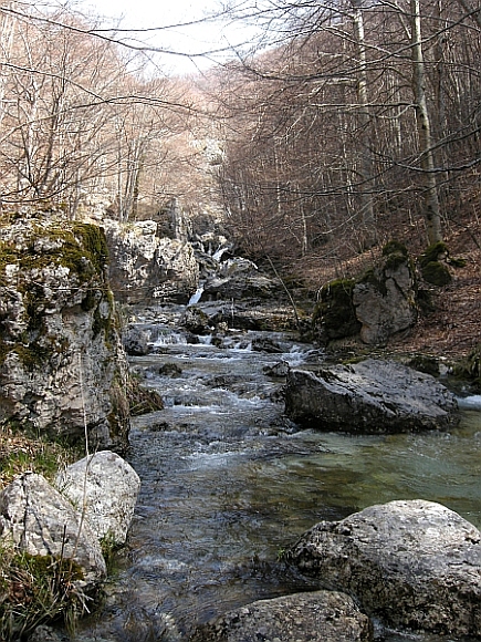 Escursione Parco Nazionale d''Abruzzo